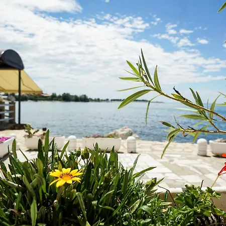 Appartement Sea View